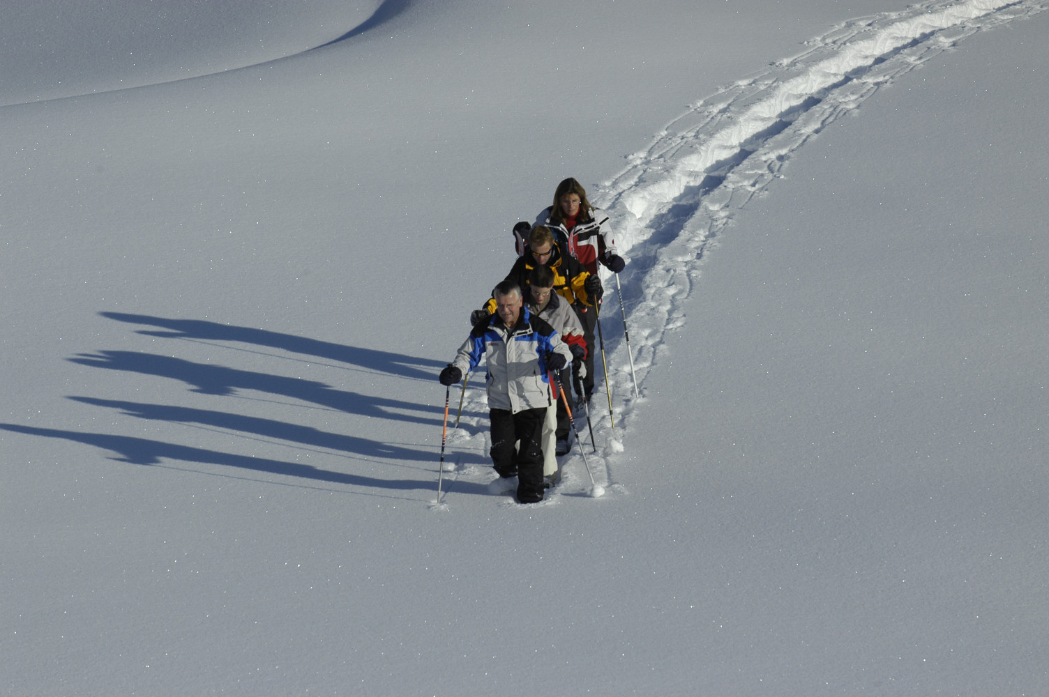 Guided snowshoe tours
